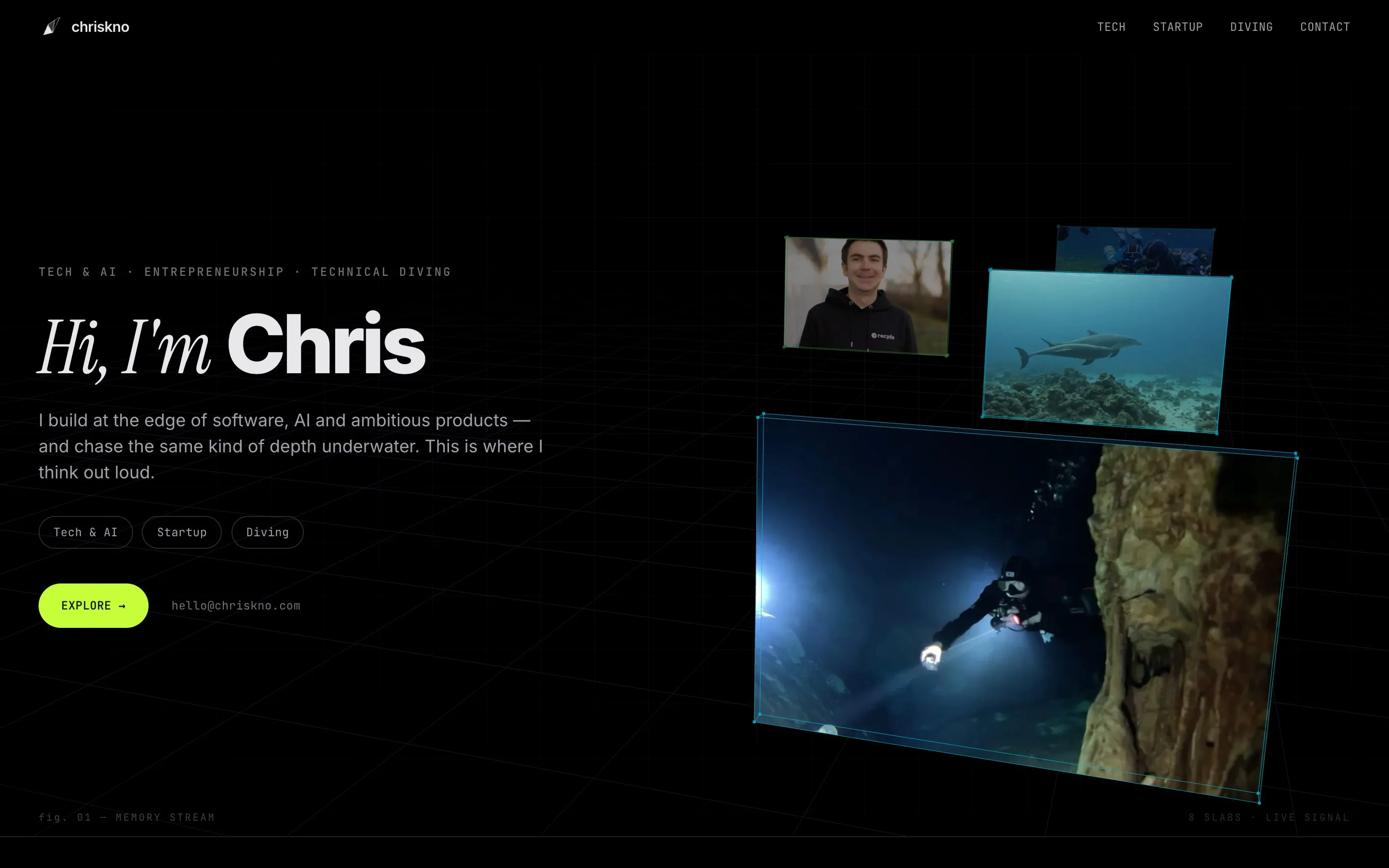 A dark homepage with a perspective grid and tilted photographs of a portrait, dolphins, and a cave diver.